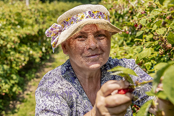 Image from the cover of the Investor Report on Sustainability