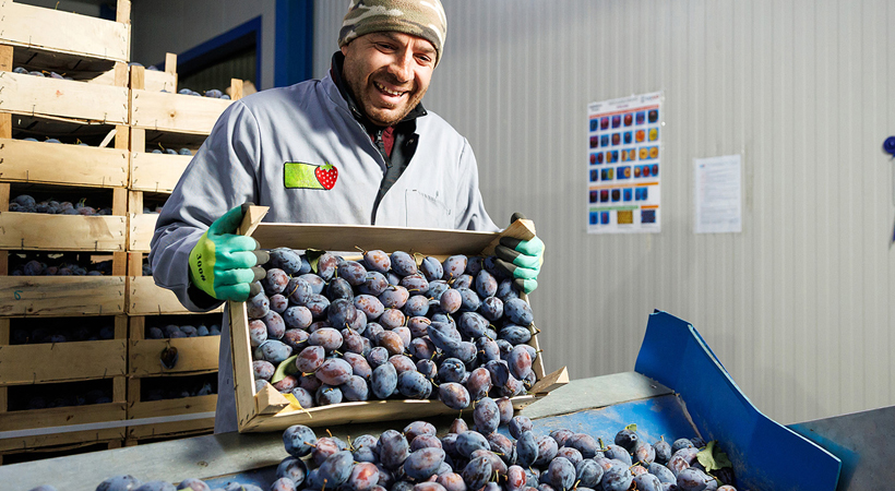 Image from the cover of the Investor Report on Sustainability
