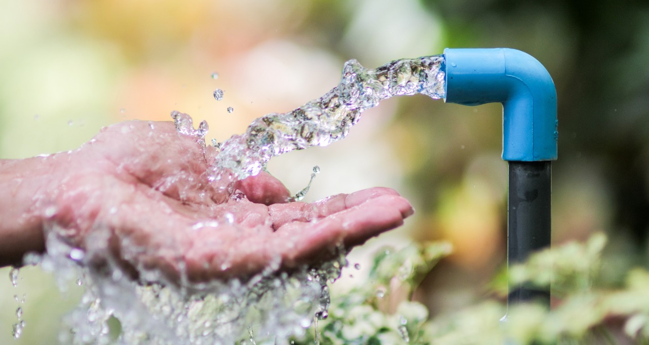 Clear water splashes from a blue faucet into cupped hands, surrounded by lush greenery.