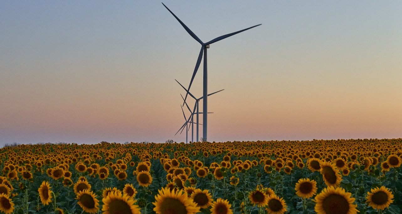 Wind generators generate energy in the field