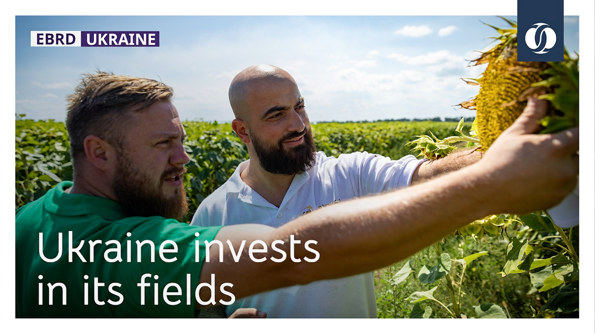 Supporting agriculture in wartime Ukraine