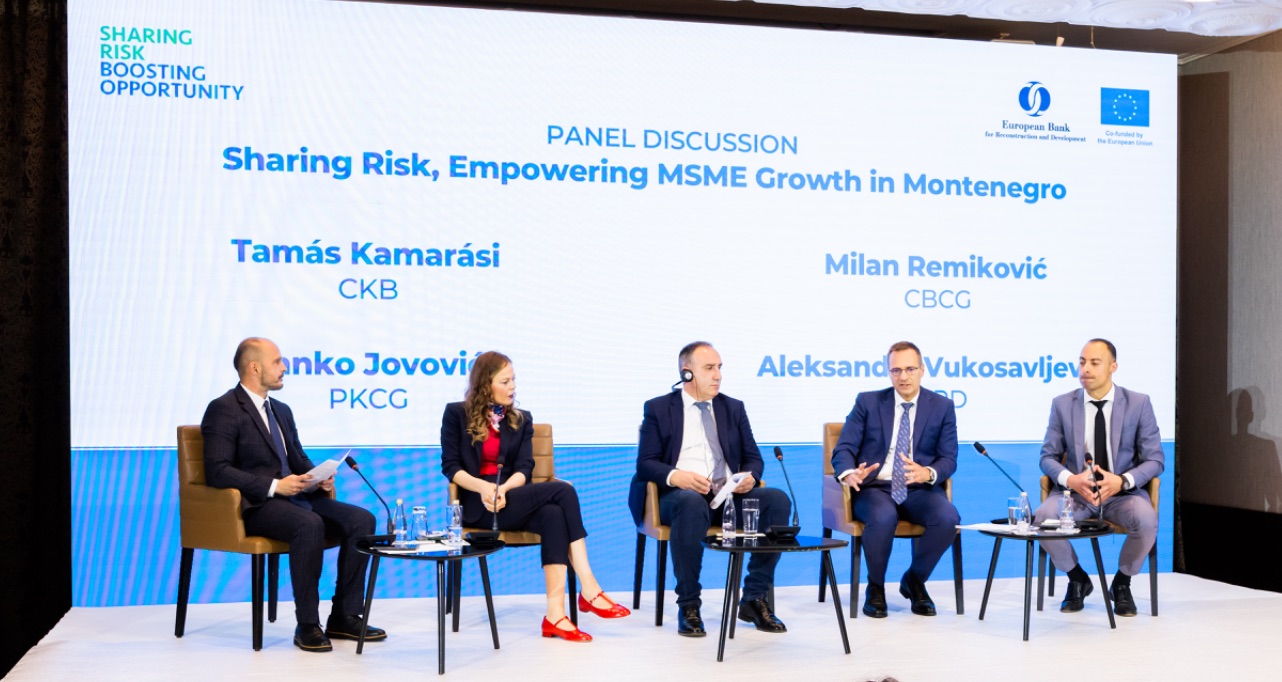 Portfolio risk sharing guarantee will help local banks expand MSME financing 