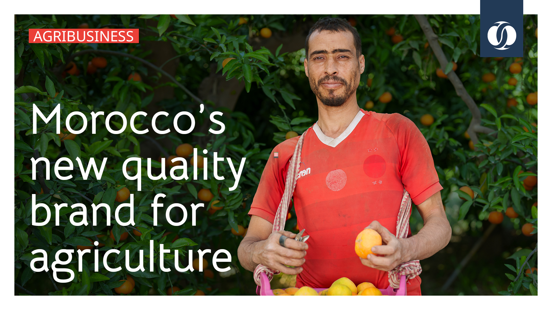 Morocco’s new quality brand for agriculture