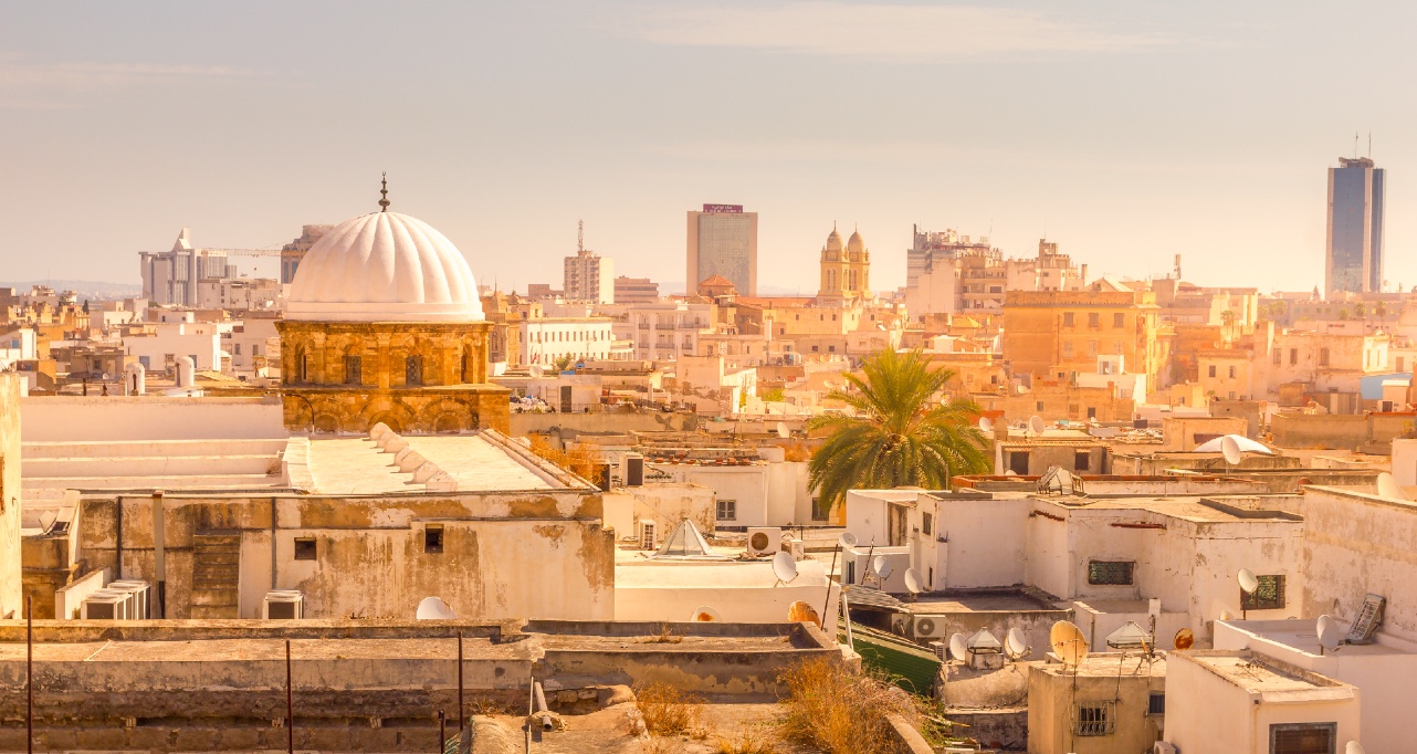 Aerial view of Tunis, Tunisia