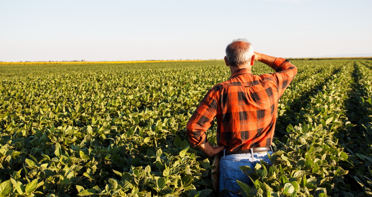 Senior farmer in a field looking into the distance