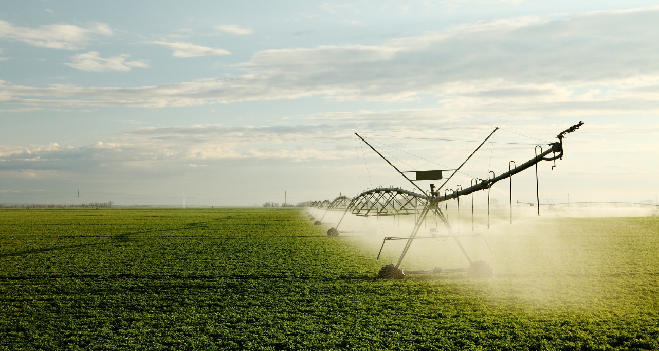 Irrigation system on field