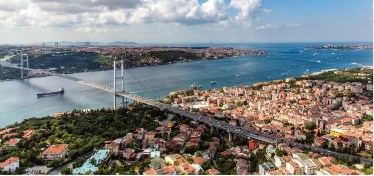 i-bn odile curtain turkiye 221124