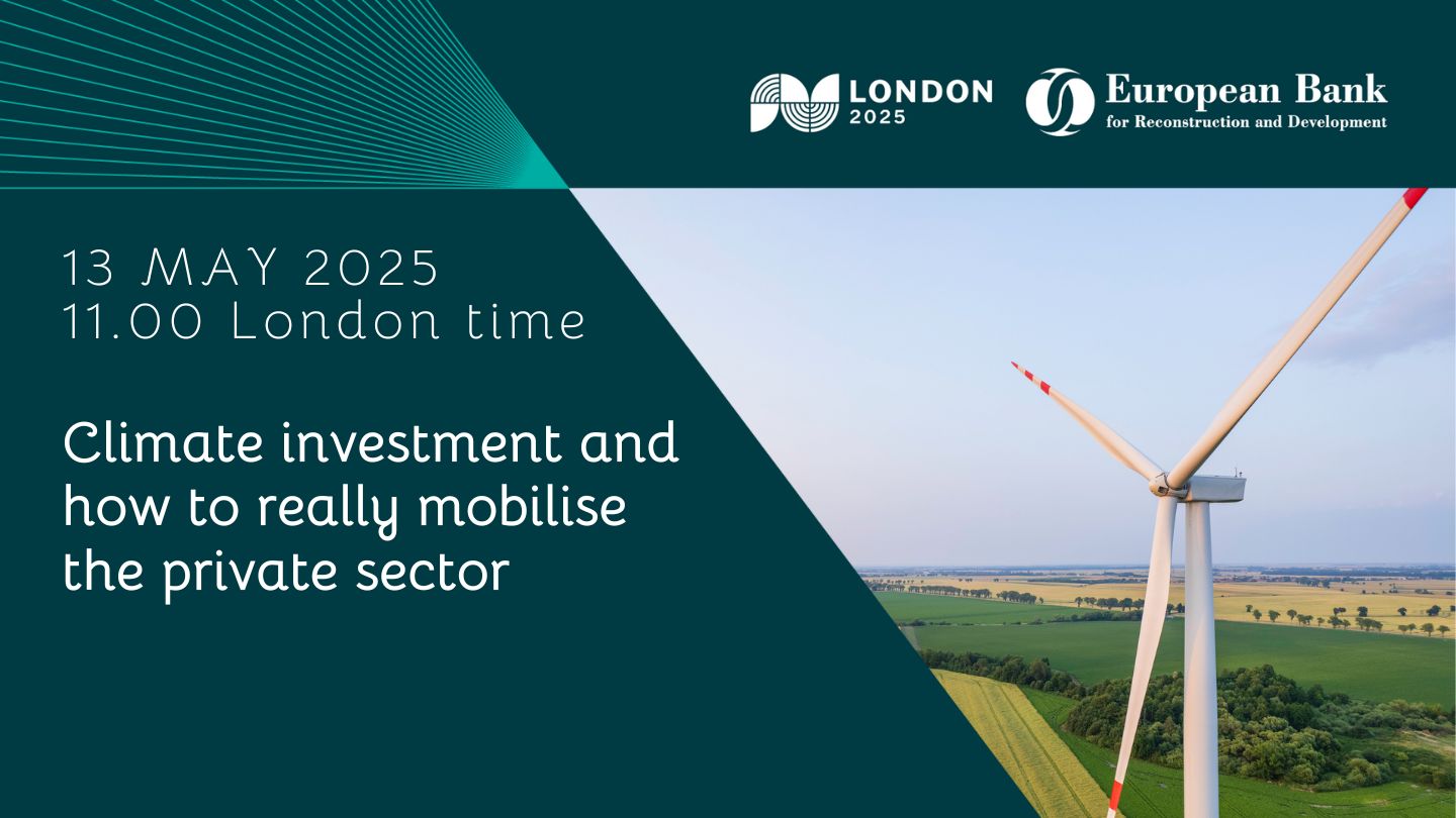 Climate investment and how to really mobilise the private sector